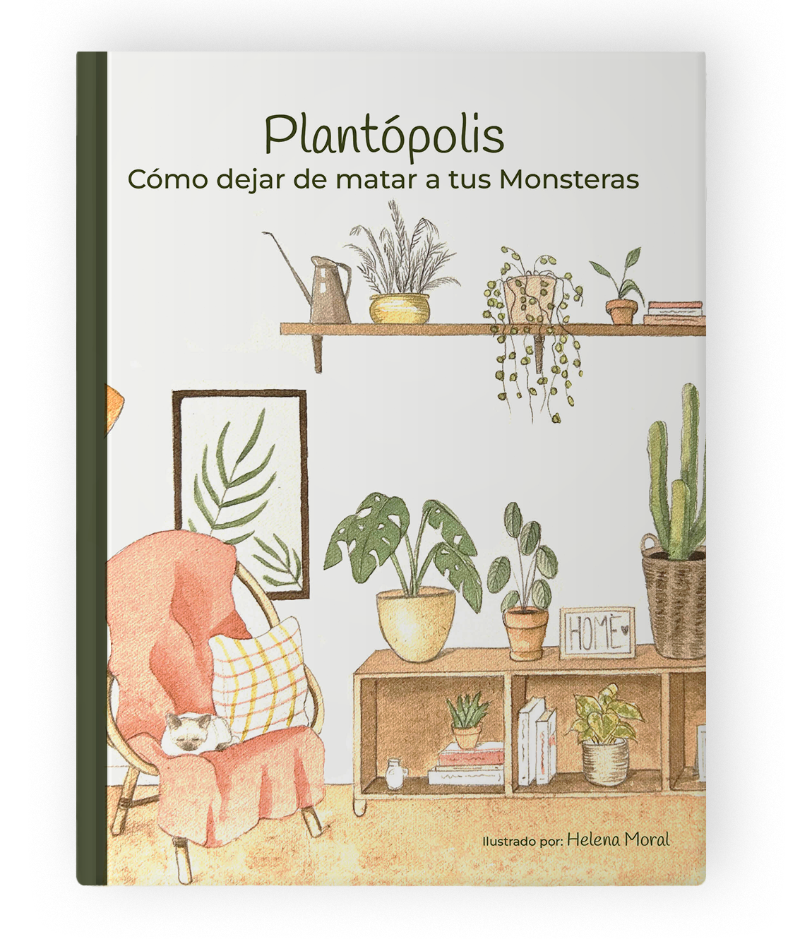 Diseño Editorial e ilustración cuidado de plantas